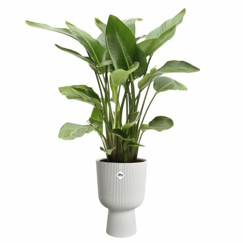 https://homes-tro.com › products › blumentopf-elho-19