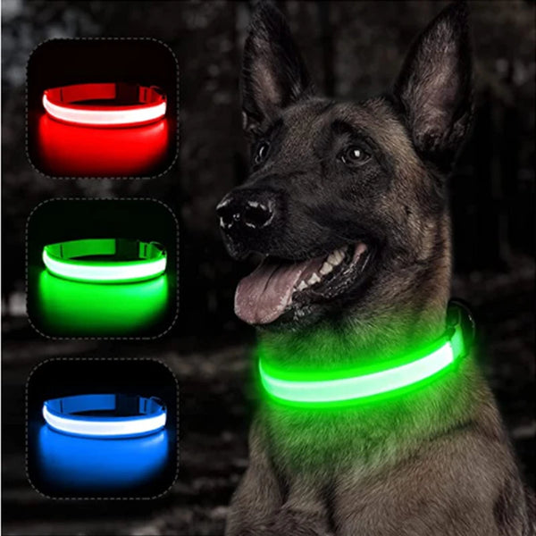 LED Hundehalsband USB Aufladbar - Leuchtend für Nachtsicherheit