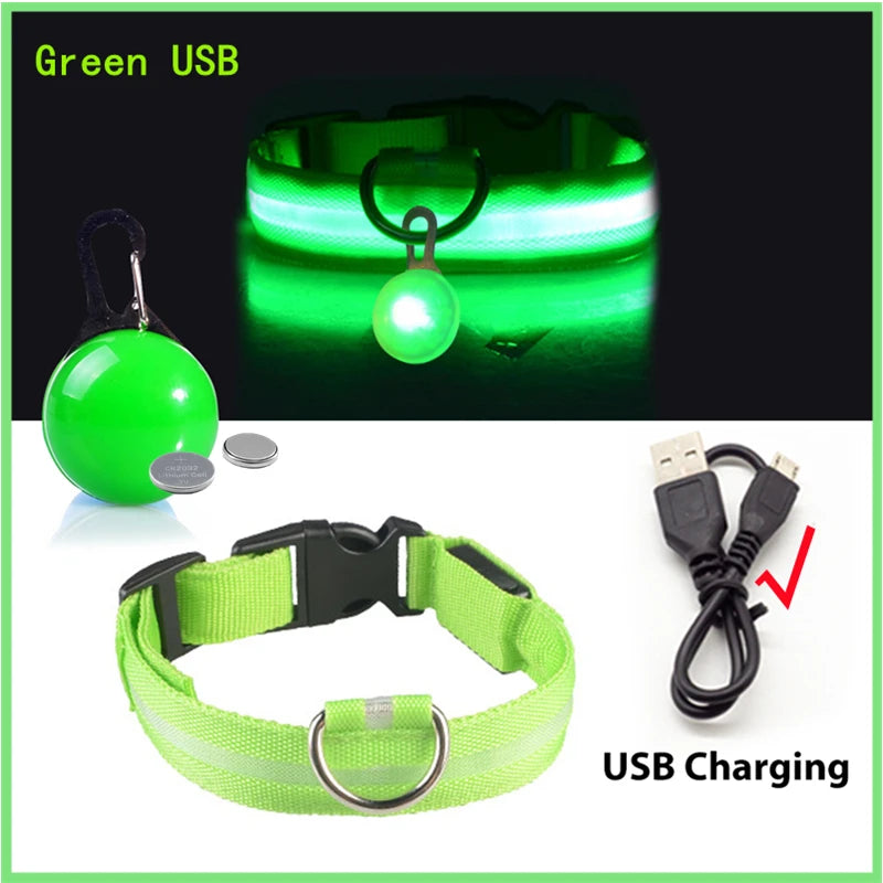 LED Hundehalsband USB Aufladbar - Leuchtend für Nachtsicherheit