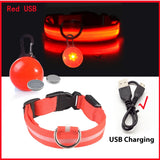 LED Hundehalsband USB Aufladbar - Leuchtend für Nachtsicherheit