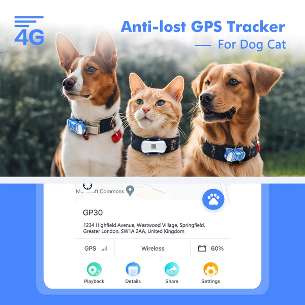4G GPS Tracker für Hunde und Katzen – Wasserdicht, Echtzeit-Ortung per App, Licht- und Ton-Suche