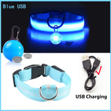 LED Hundehalsband USB Aufladbar - Leuchtend für Nachtsicherheit