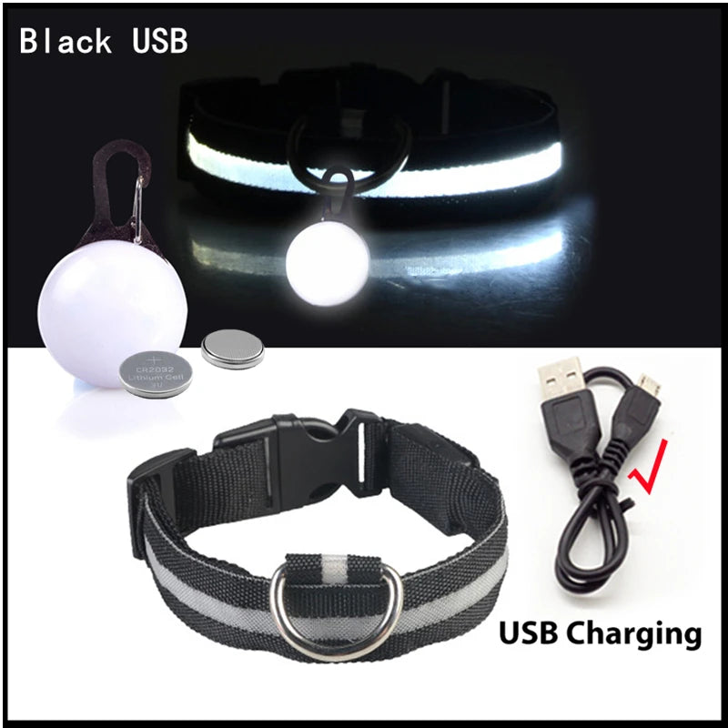 LED Hundehalsband USB Aufladbar - Leuchtend für Nachtsicherheit