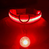 LED Hundehalsband USB Aufladbar - Leuchtend für Nachtsicherheit
