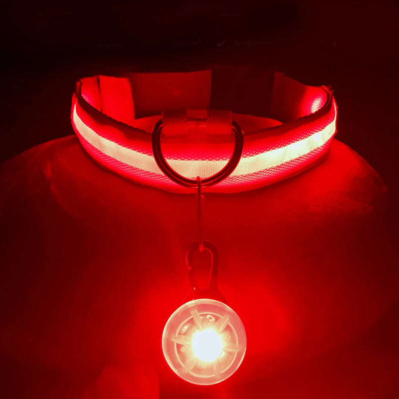 LED Hundehalsband USB Aufladbar - Leuchtend für Nachtsicherheit
