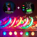 LED Hundehalsband USB Aufladbar - Leuchtend für Nachtsicherheit