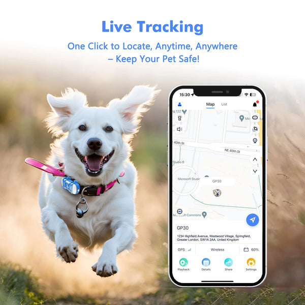 4G GPS Tracker für Hunde und Katzen – Wasserdicht, Echtzeit-Ortung per App, Licht- und Ton-Suche