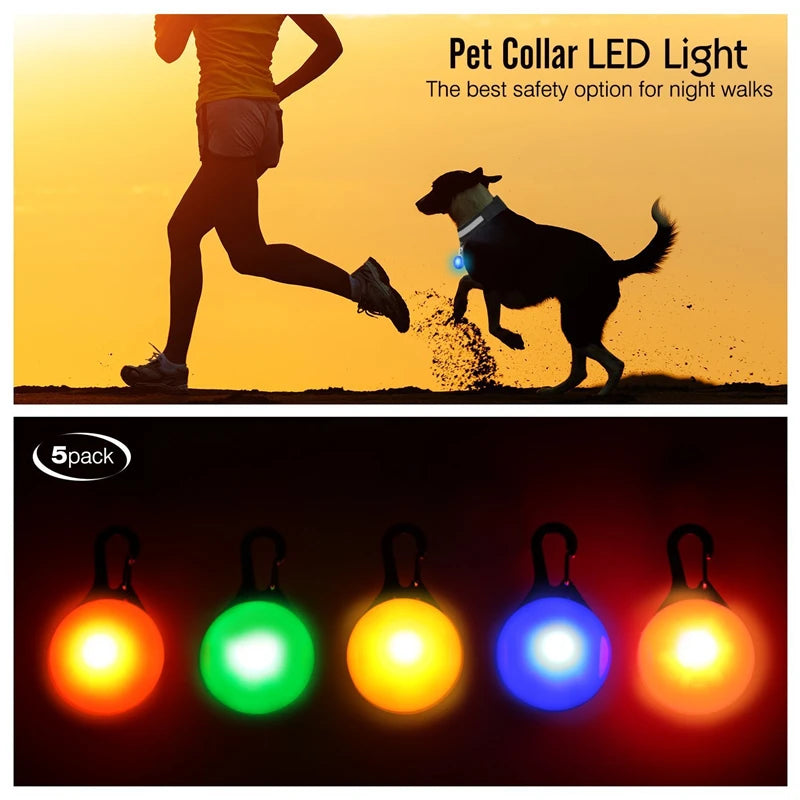 LED Hundehalsband USB Aufladbar - Leuchtend für Nachtsicherheit